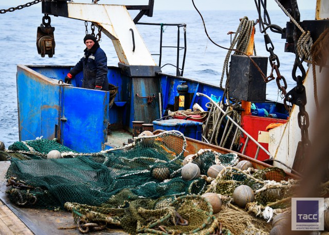 Рыбаки в Японском море: Прибрежный промысловый лов минтая в заливе Петра Великого в Приморском крае