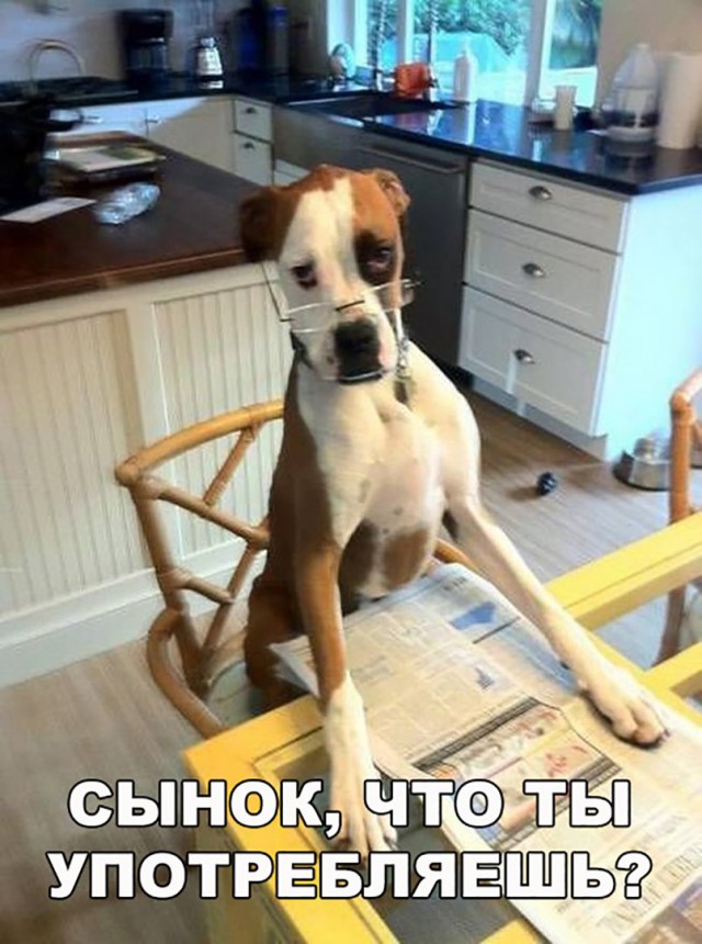 Нестандартный юмор