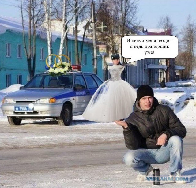 Подборка интересных и веселых картинок