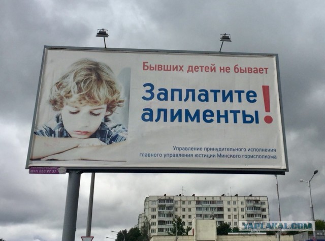 Пока не найдут работу: россиян обяжут содержать бывших супругов