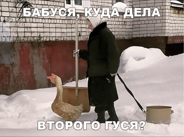 Нестандартный юмор