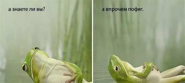 Пап! У меня машину угнали!