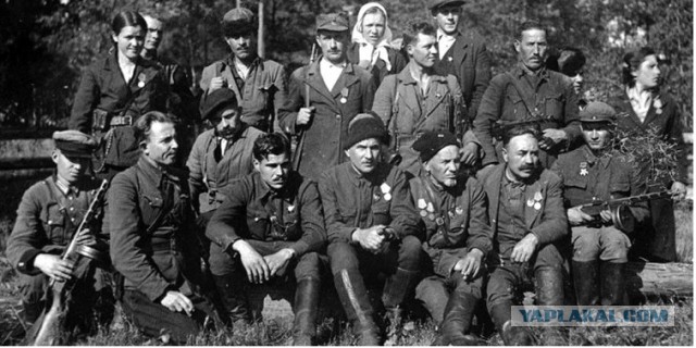 Партизанские реалии: насколько точными были полевые сводки?