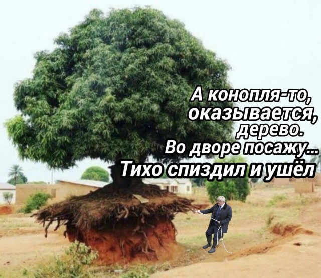 Фотожаба "На поводке"
