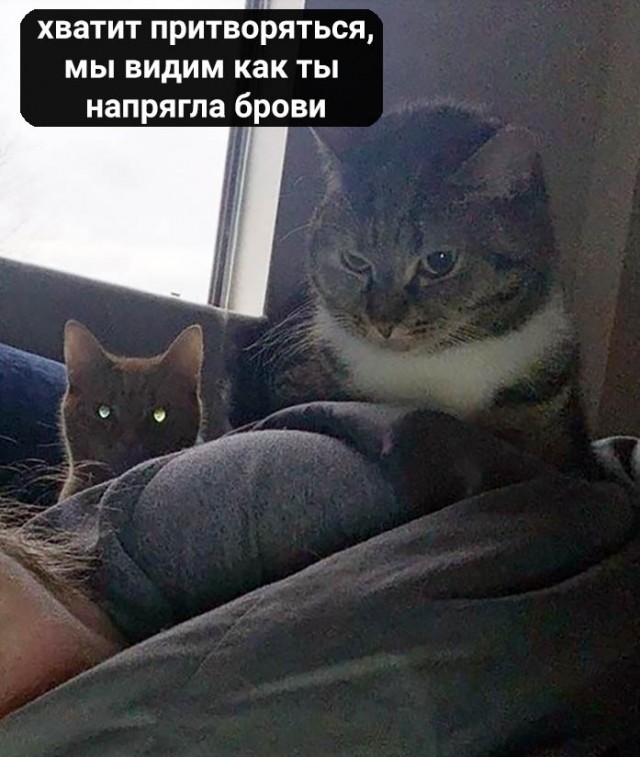 Каждое. "Доброе". Утро