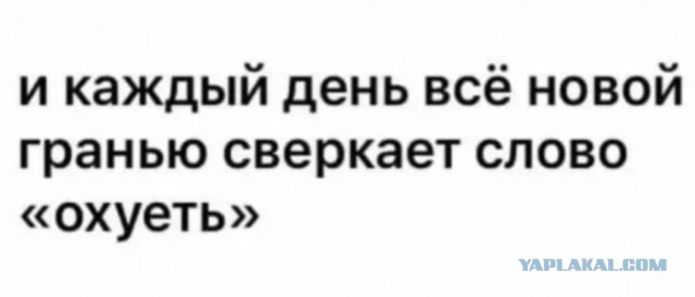 Кадырову предложили высокую должность