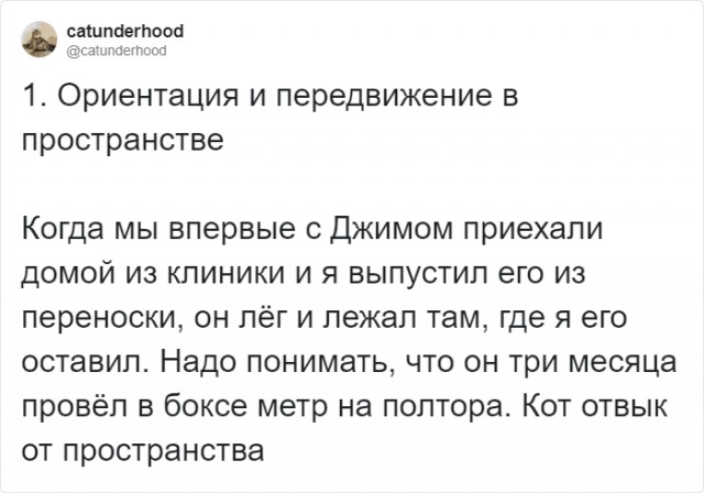 Парень рассказал, каково это жить со слепым котом