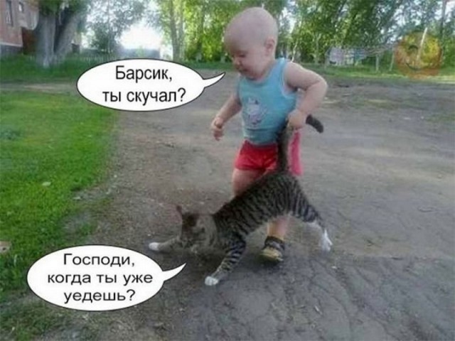 Котик очень любит купаться!