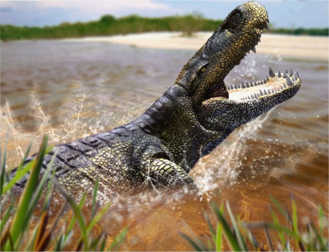 Пурусзавр: Большим копытным нужен большой хищник. 12 тонн крокодила на максималках