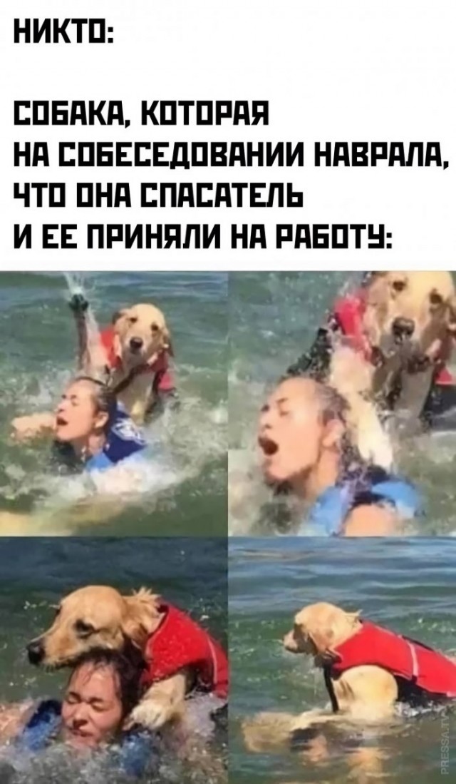 Картинки и мемы для настроения