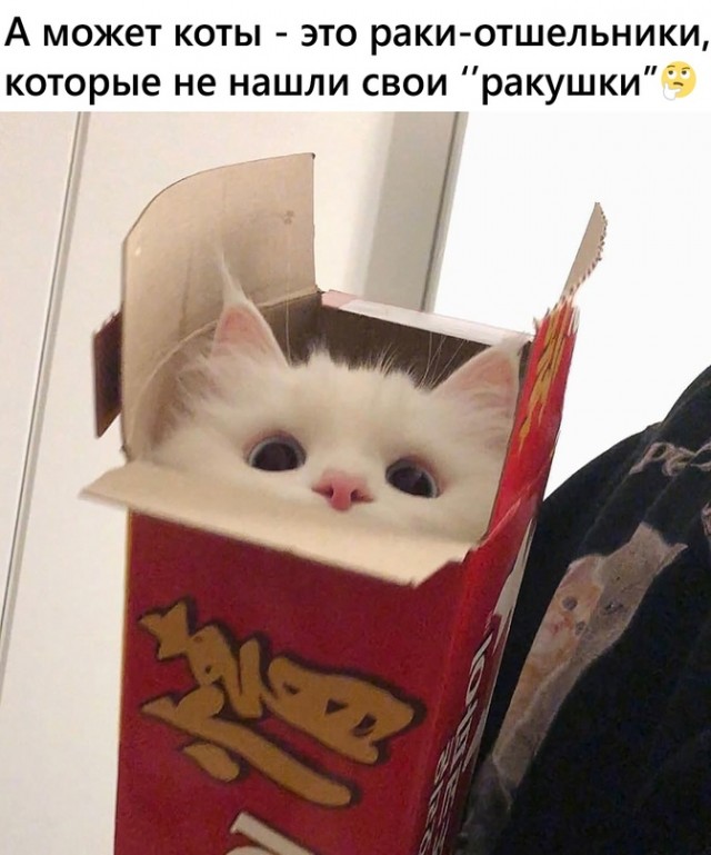 Картинки и мемы для настроения 09.08.2021