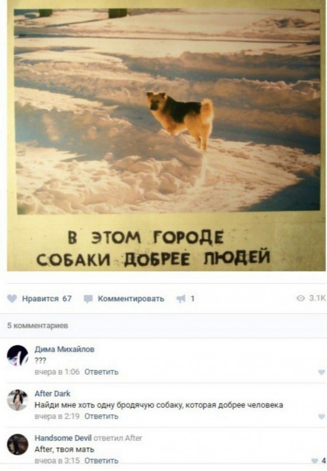Картинки всякие и аморальные - 11