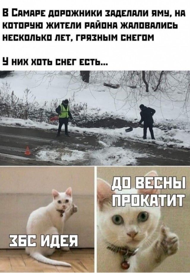 Баяны бабыЯны