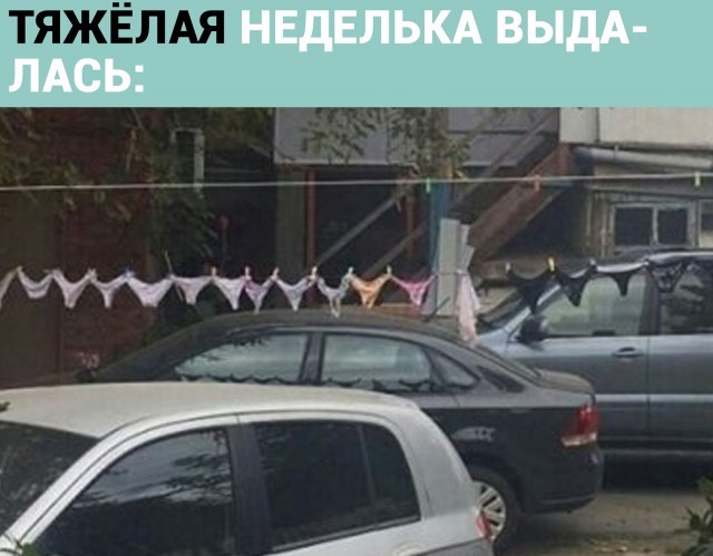 Чуток картинок 22.12.21