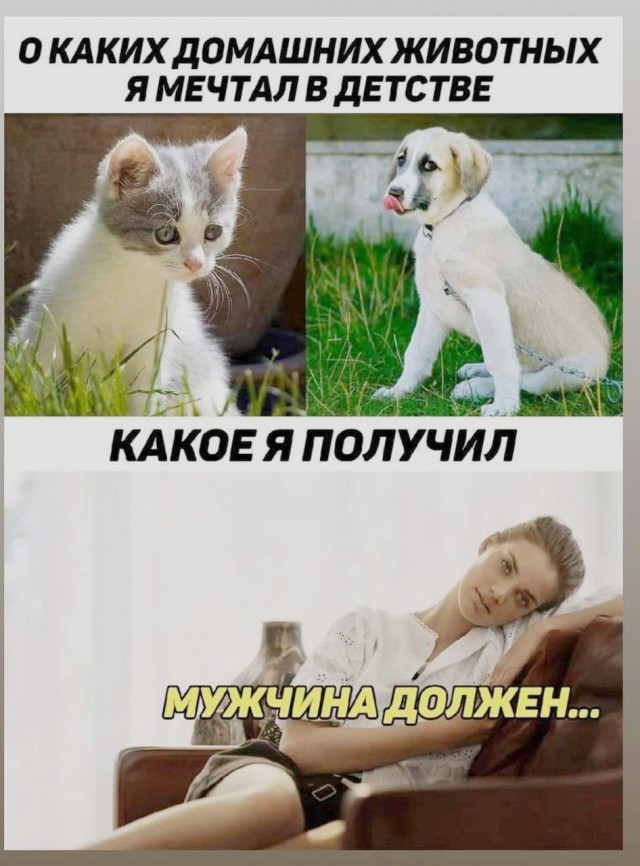Все бабы козлы или нет?