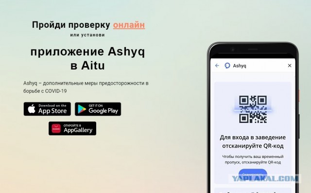 Дождались! В России создали устройство, проверяющее QR-коды прививок от COVID-19