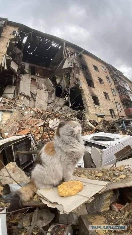 Боевой дух!