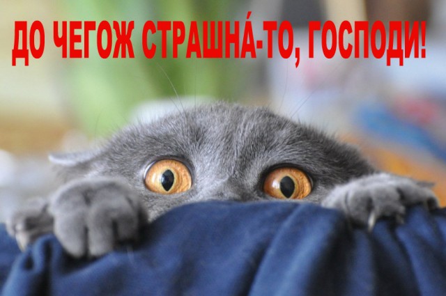 Волосы в голове