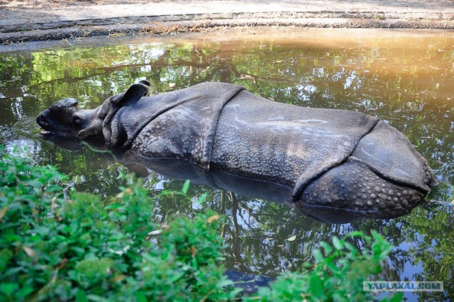 Мой Евротур