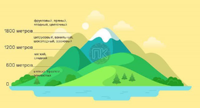 Победная поступь идиотизма по планете.