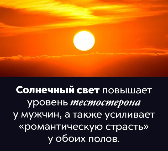 Факты. Просто факты.