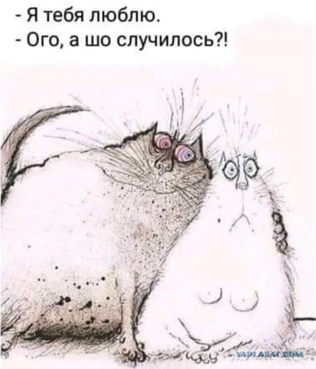 Почему у женатых мужчин появляются любовницы