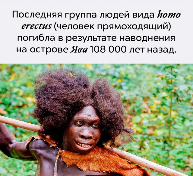Немного бесполезных фактов