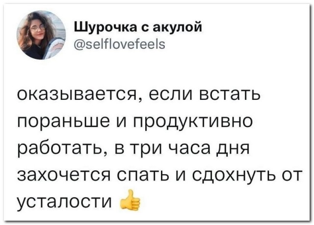 Забавные комментарии из социальных сетей (19.12.22)