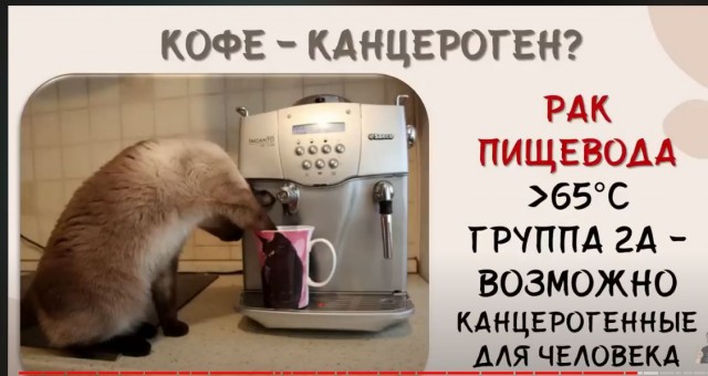 Победная поступь идиотизма по планете – том 7