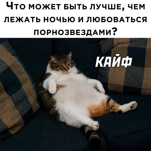 БесСистемная подборка 2
