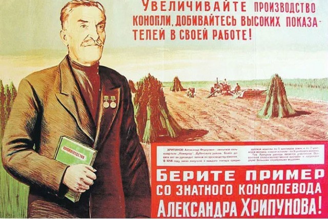 Прикольные и просто красивые картинки 03.03.2023