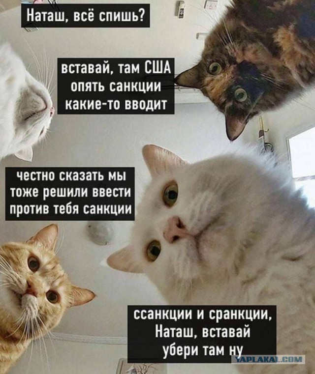 Победная поступь идиотизма по планете – том 9