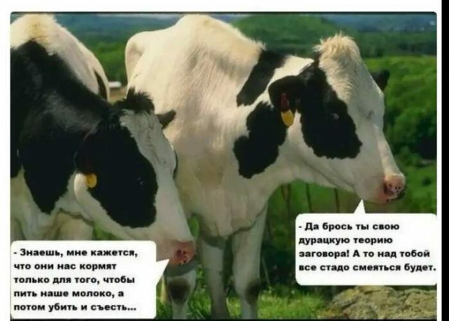 1 апреля 1953 года в СССР произошло самое масштабное снижение цен
