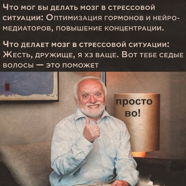 Весёлый полтишок 18.04.23