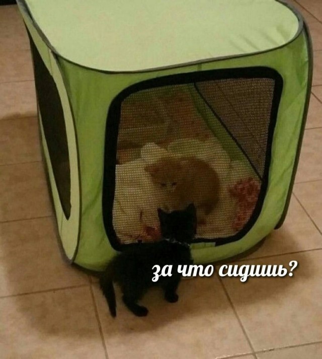 Всего понемногу. От 21.04.