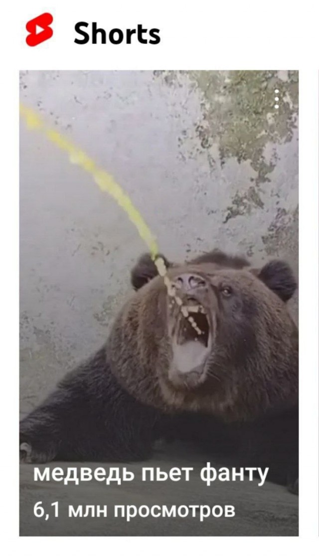 Всего понемногу.