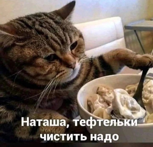 - Вы рыбов продаете?