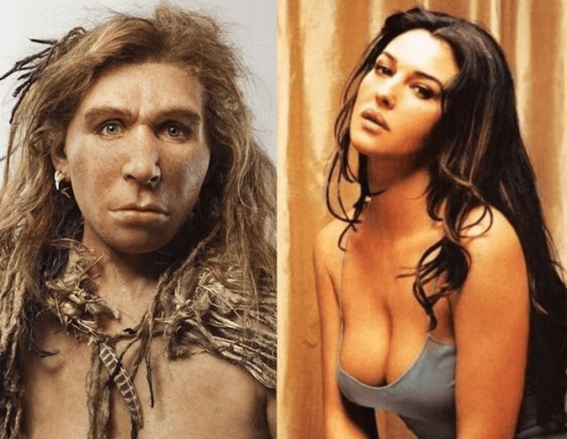 Если в ходе эволюции выживают лучшие, почему все женщины не выглядят, как супермодели?