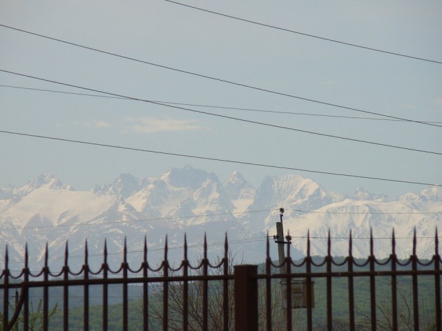Красивые фото ЯПа