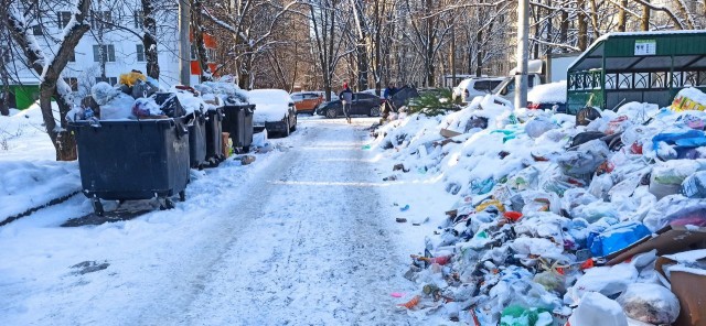 В Химках мусорный коллапс
