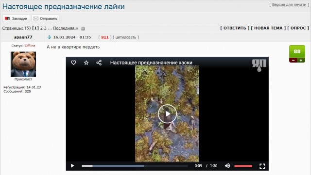 Настоящее предназначение лайки