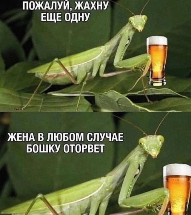 Завалялось тут случайно немного забавных картинок
