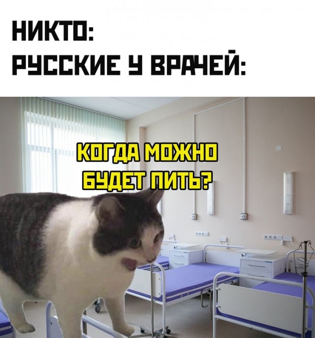 Весёлый полтишок 27.05.24