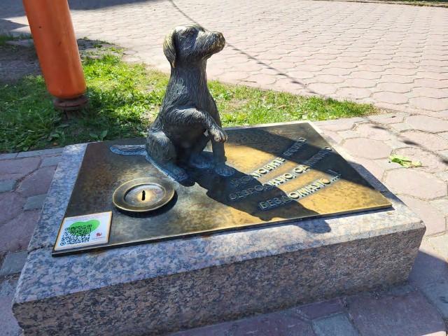 Не тюлень, а Тюмень…
