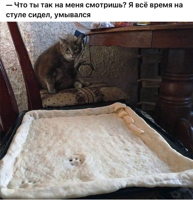 Никакие картинки