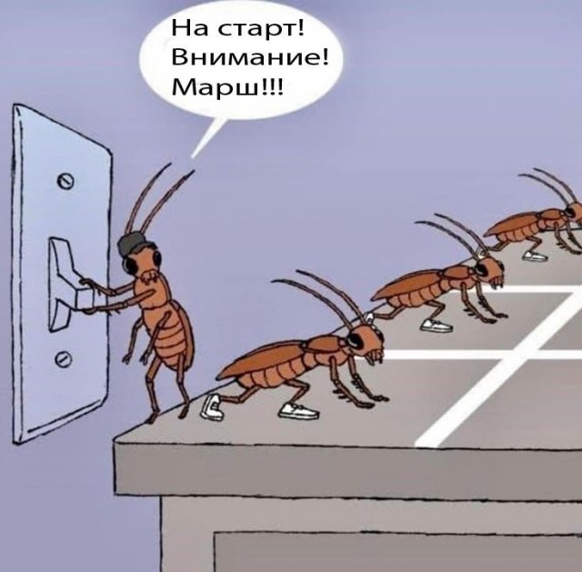 Так себе картинки 31.01.25
