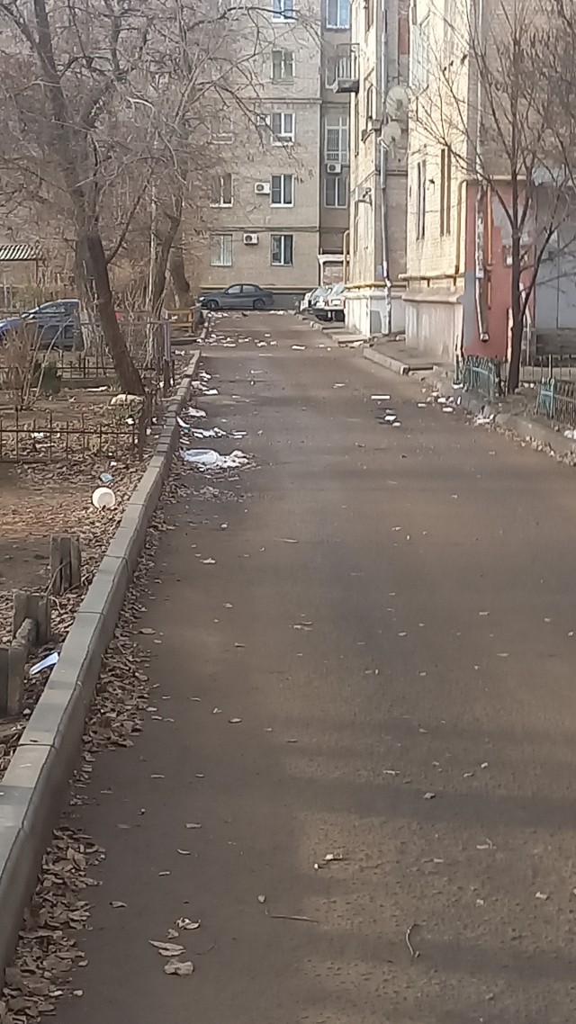 Пипец, свиньи