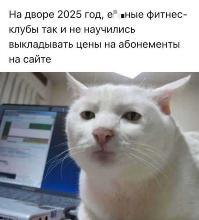 Веселые картинки в маленькую пятницу (16.04)