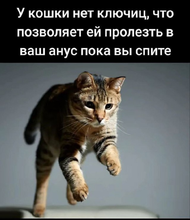 По распорядку. Дичь
