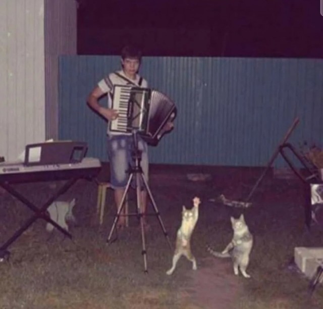 Всякой хренотени